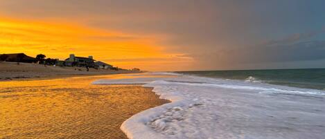 Plage à proximité, chaises longues, serviettes de plage