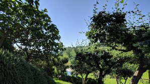 A gravel path flanked by dense greenery and trees, leading towards a body of water. - Villa La Cascata -  with swimming pool (Chiusi)