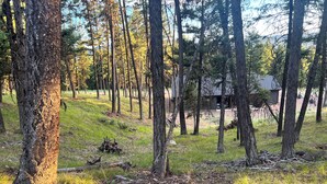 Une zone boisée avec une petite cabane en arrière-plan.