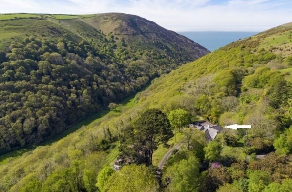 A hilly landscape with a house surrounded by dense greenery.