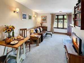 Fernseher, Kamin