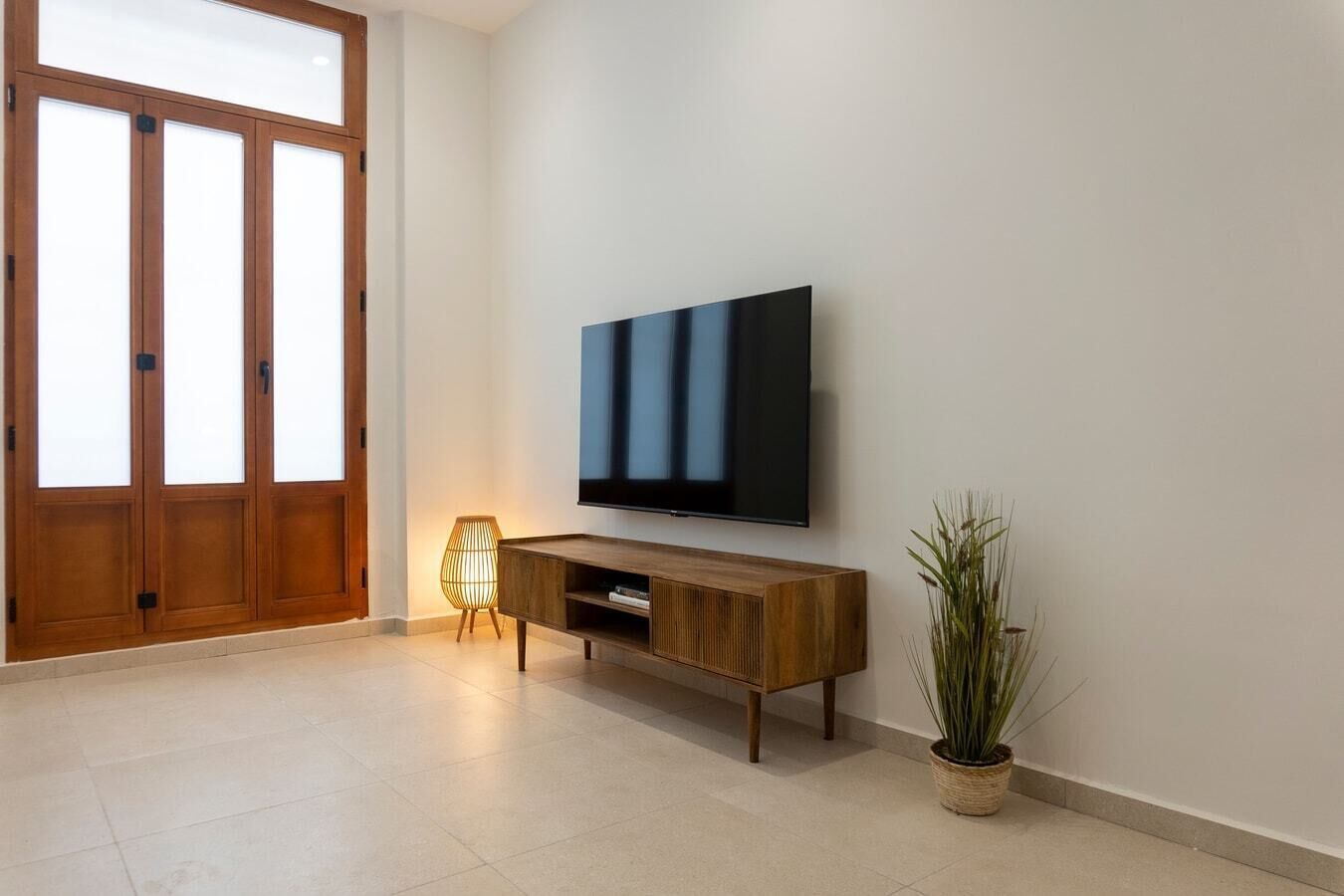 Un salon moderne avec un téléviseur à écran plat fixé sur une console en bois, une plante en pot et une grande porte en bois.