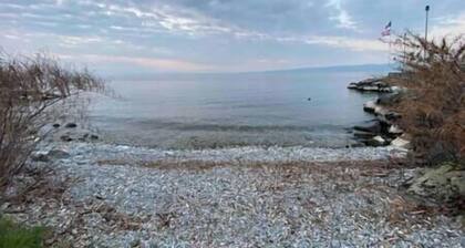 *2 rooms SUPERB LAKE VIEW 5mn Evian