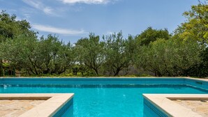 A rectangular swimming pool with clear blue water, surrounded by a stone deck and lush green trees.