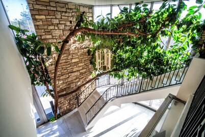 LYFE INN & SUITES by AGA - Beverly Hills