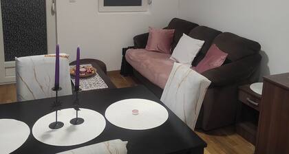 Let's your dream come true with us!