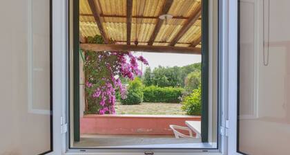 Villino Lampone with sea view, immersed in a garden of olive trees