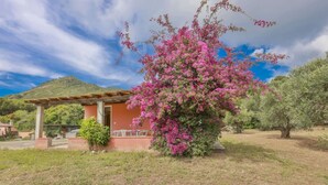 A house with a pergola and outdoor seating, surrounded by a garden with pink flowering plants and olive trees.