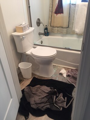 Hair dryer, towels, soap, toilet paper