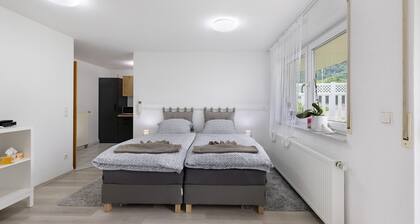 Appartement 'Albgängerle' avec vue sur la montagne, terrasse privée et Wi-Fi
