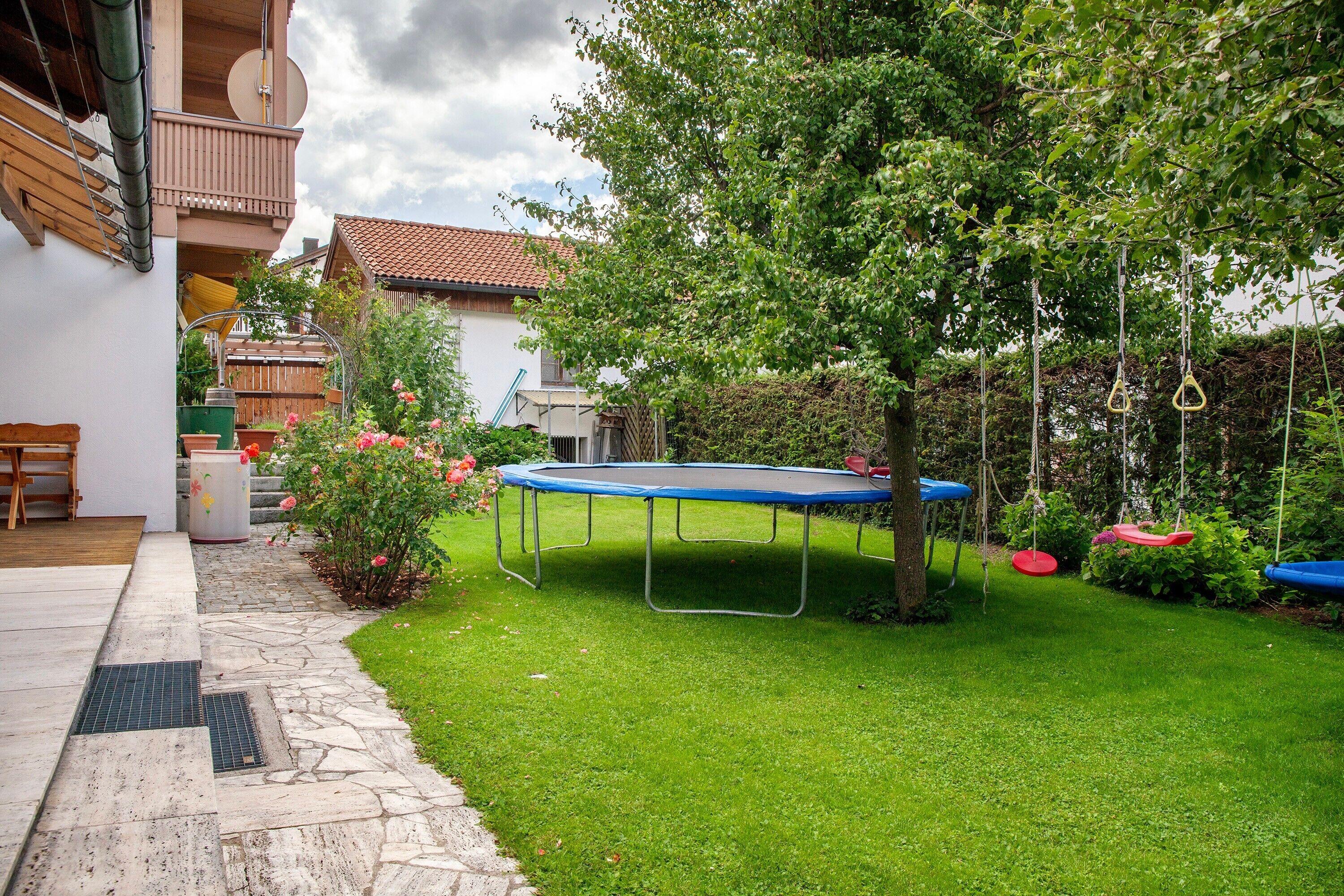 Un jardin avec un trampoline, un arbre et une balançoire.