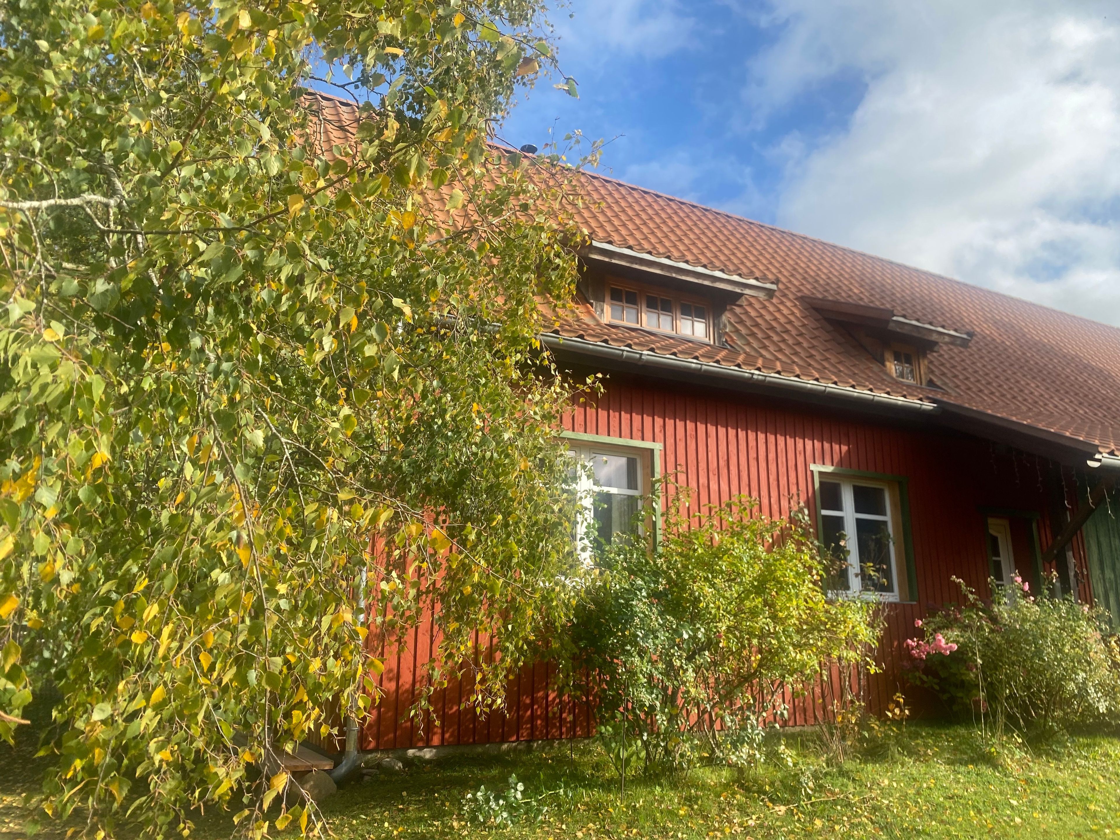 Eksteriør