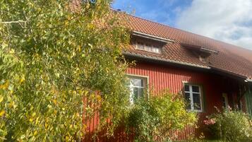 Eksteriør