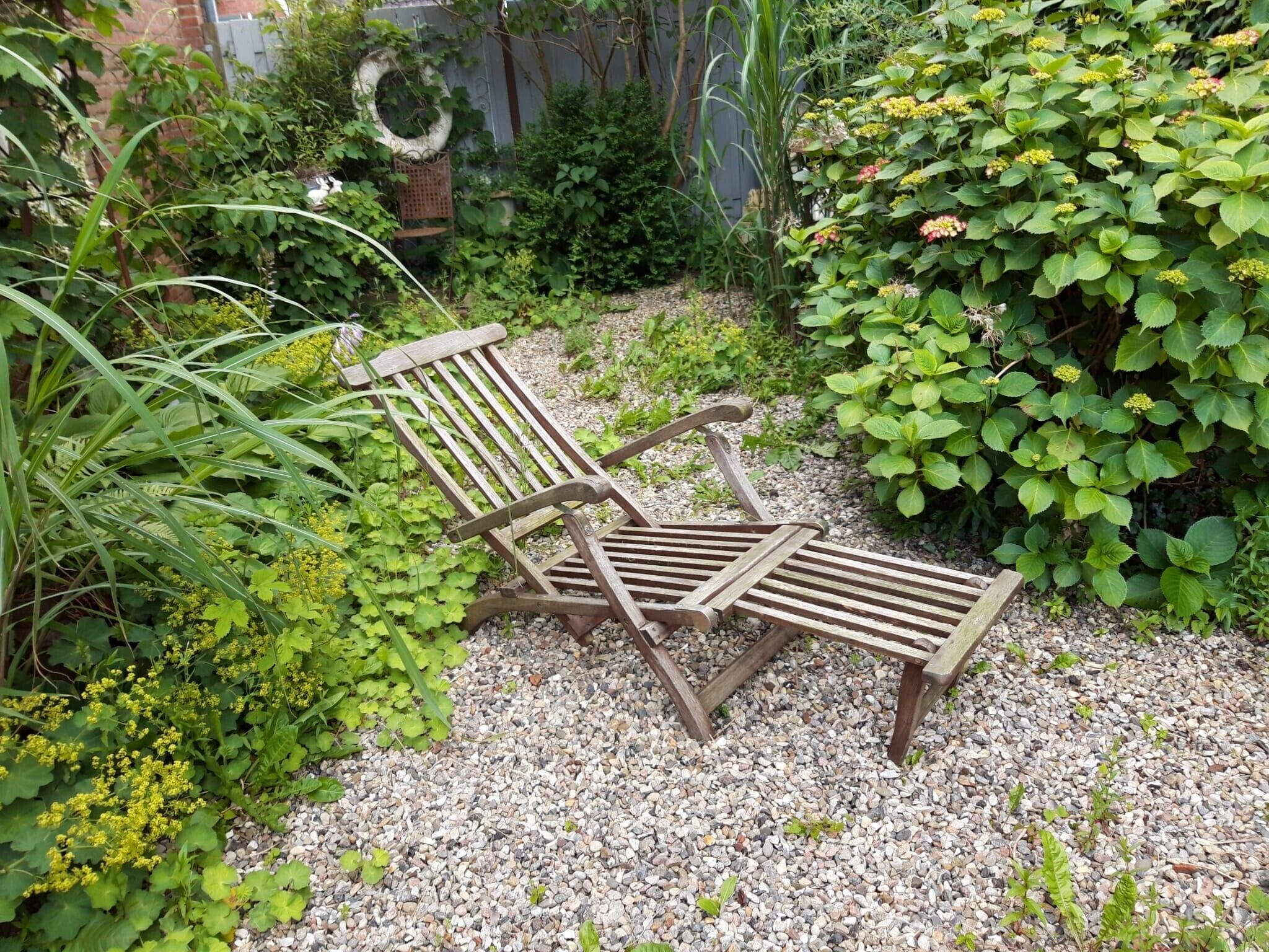 Un banco de madera en un jardín con suelo de grava, rodeado de diversas plantas y follaje.