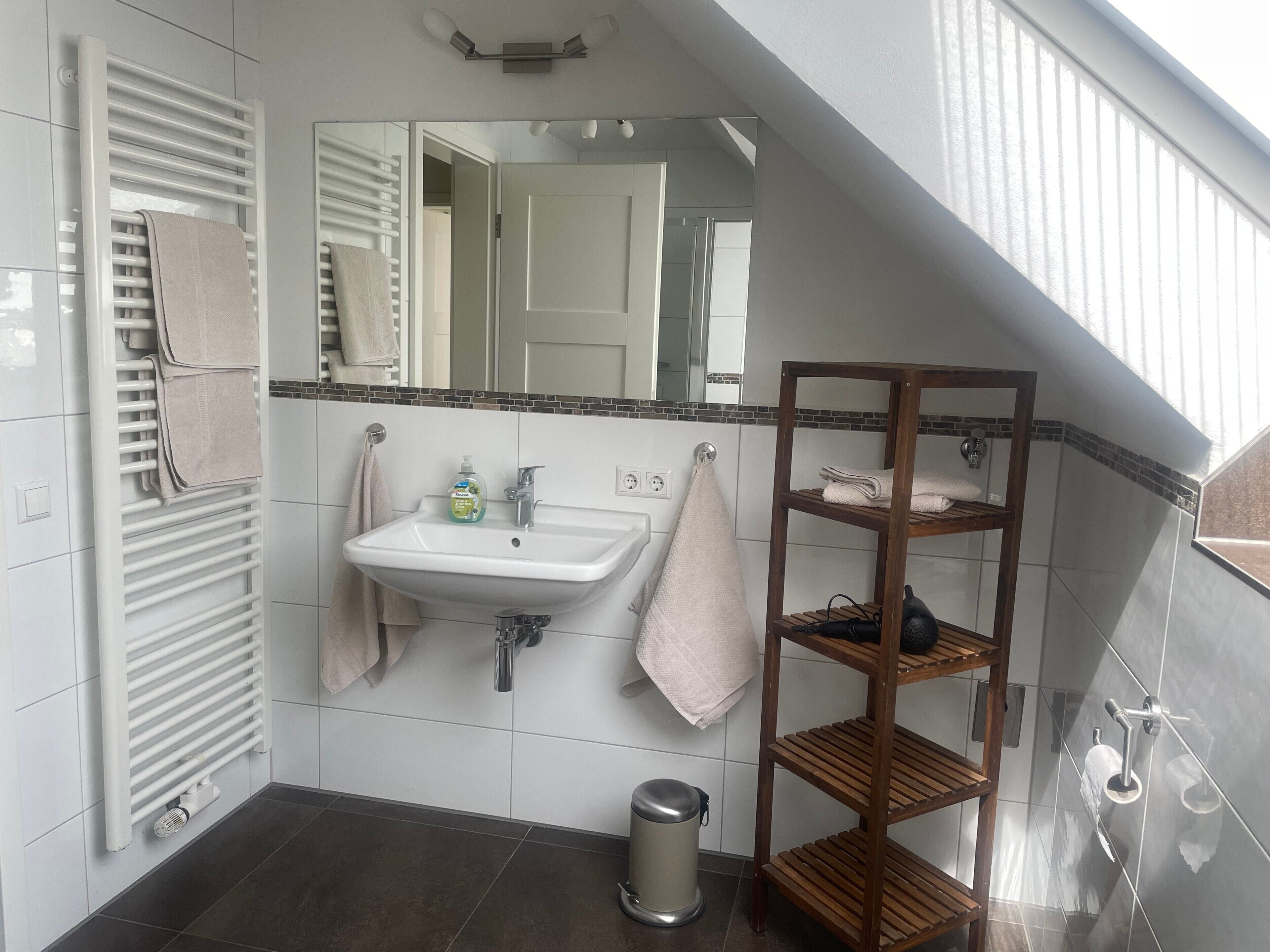 Dusche, Haartrockner, Handtücher