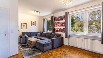 Fernseher