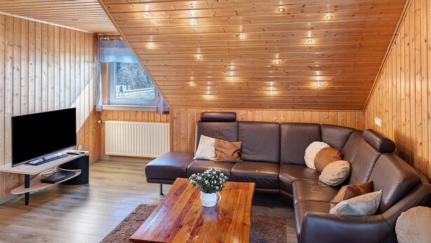 Ein Zimmer mit Holzwänden, einer Ledersofa, einem Fernseher auf einem Schrank und einem Fenster mit Blick.