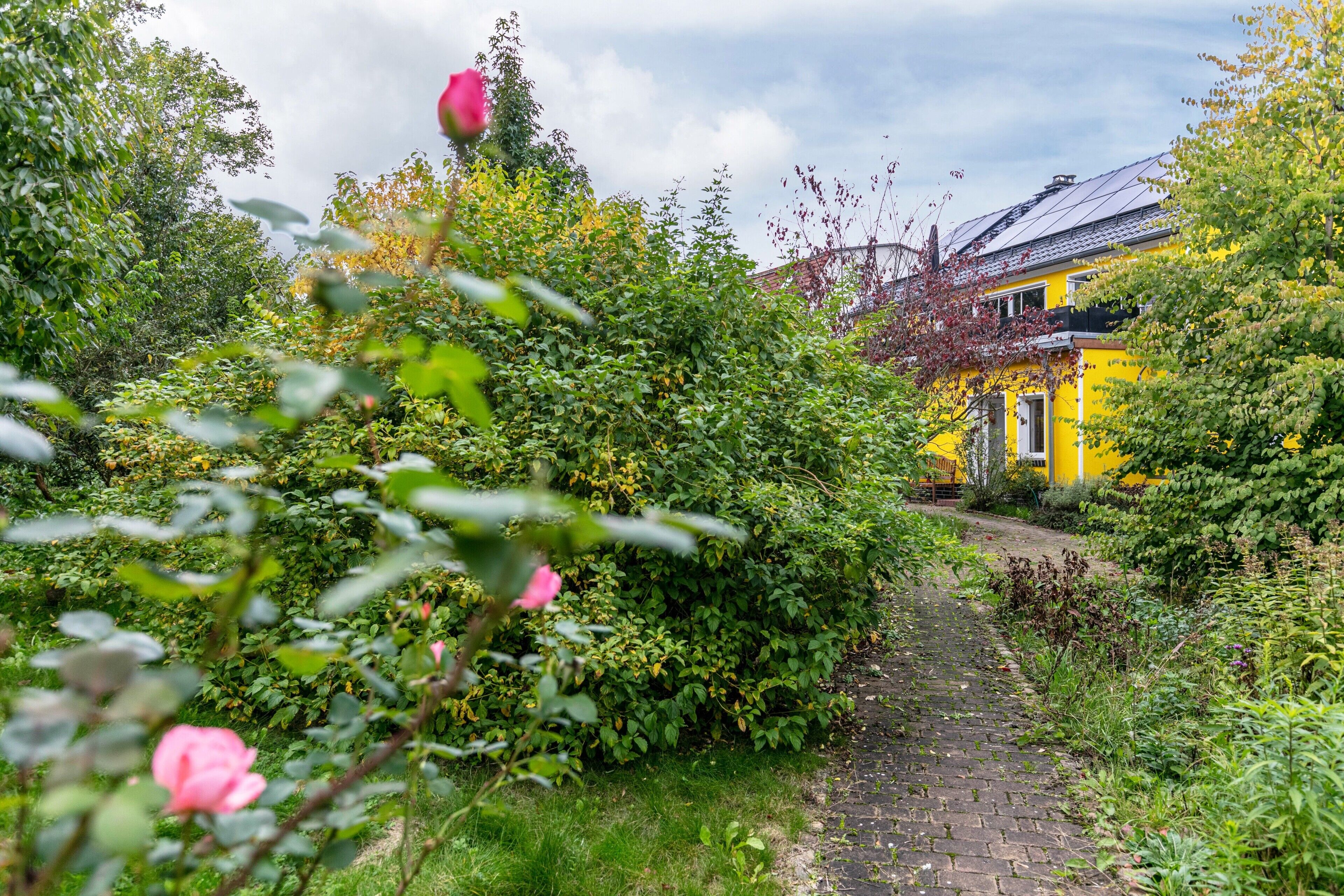 Áreas de la propiedad