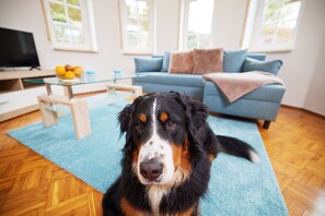 TV - Apartment 'Die Landgräfinnen' with Shared Terrace, Shared Garden and Wi-Fi (Schwalmstadt)