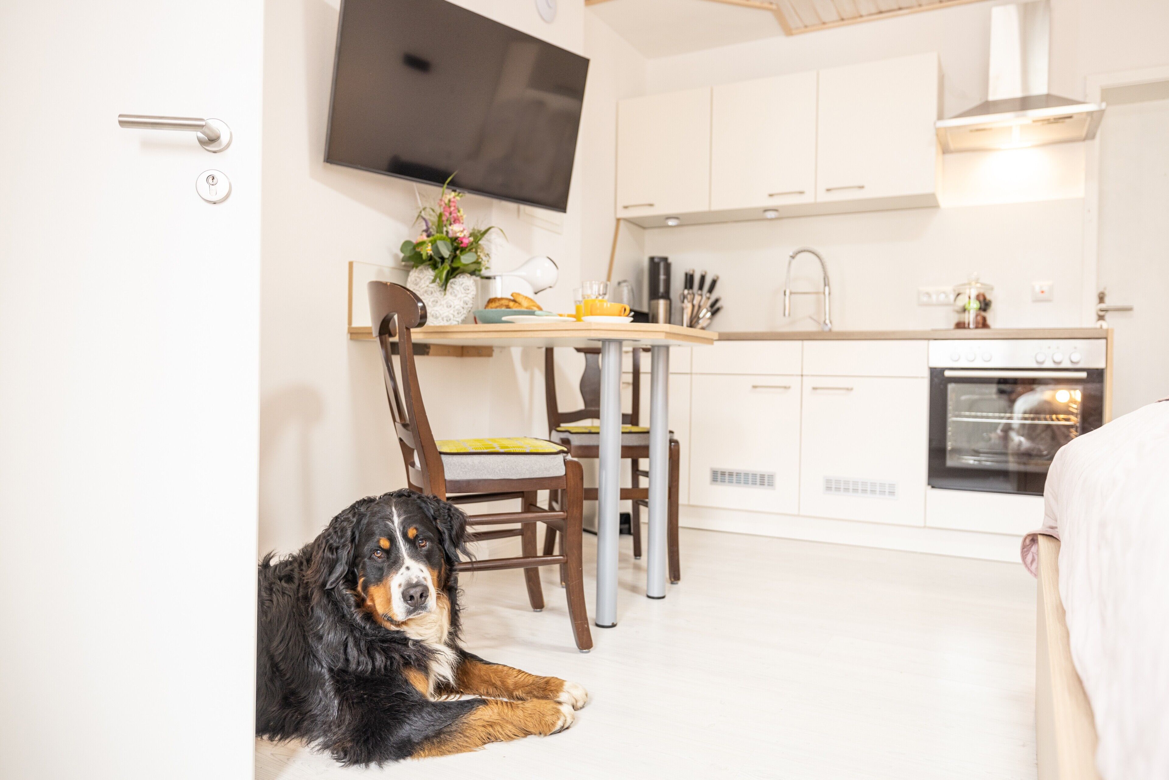 A modern kitchen with a dining area, a TV mounted on the wall, and a dog lying on the floor.