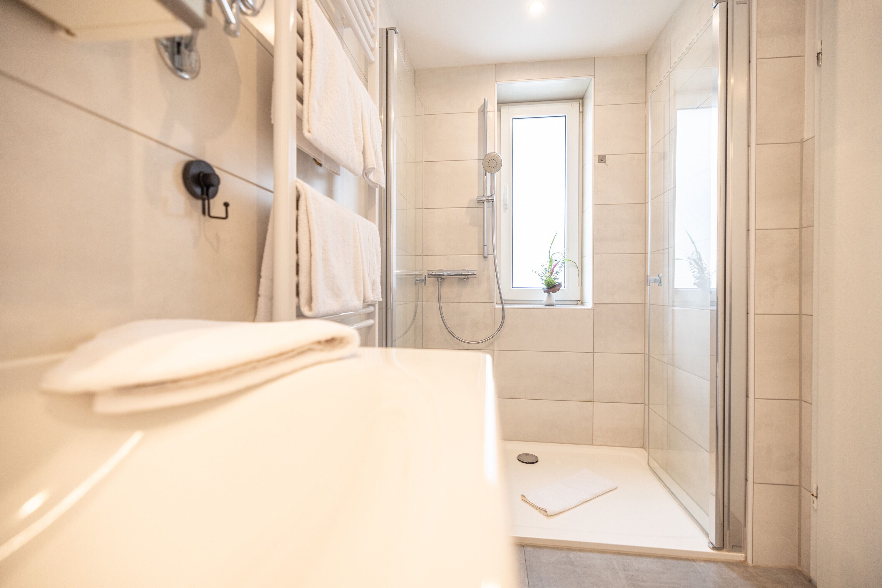 Shower, hair dryer, towels