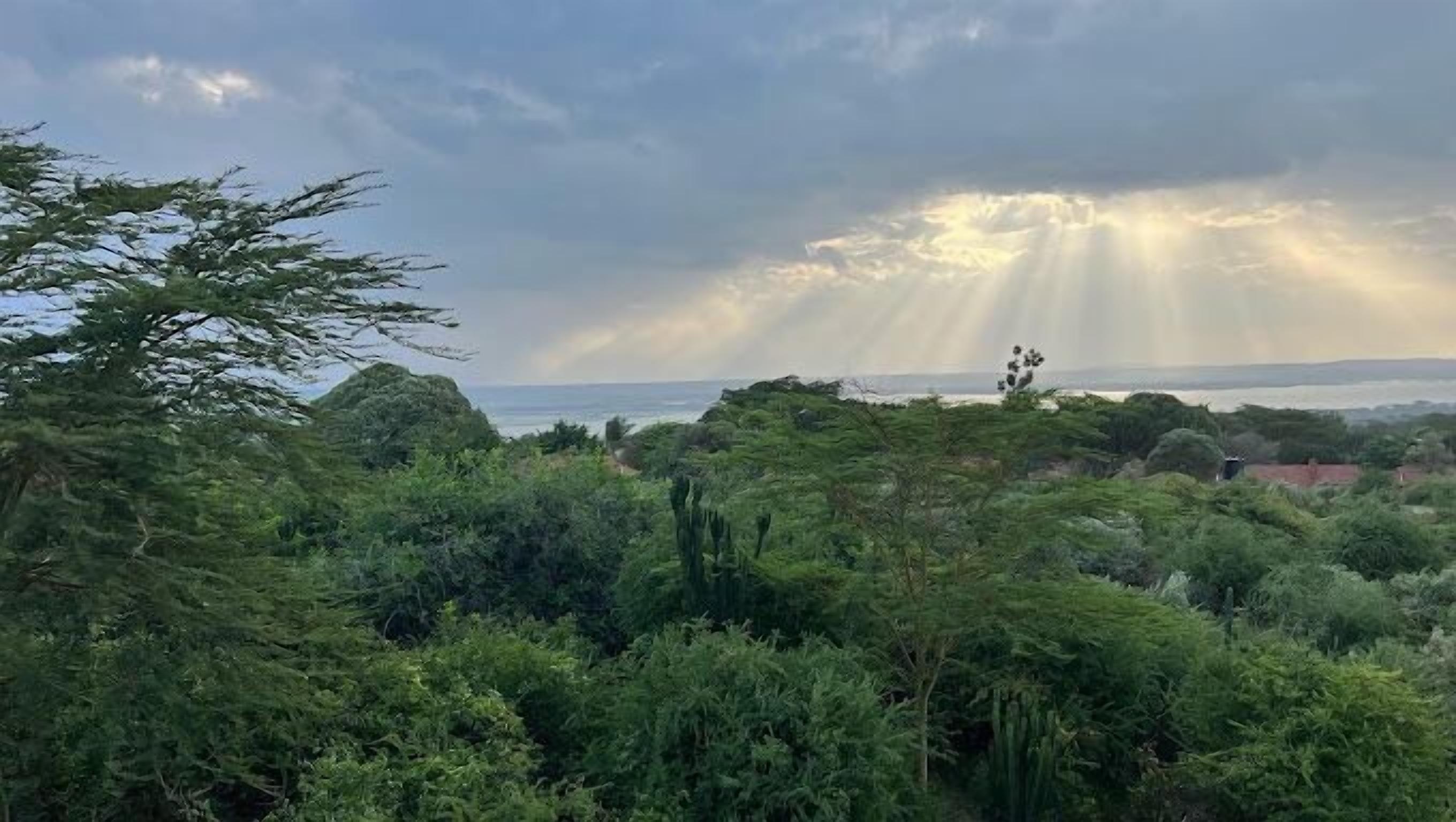 A lush green landscape with dense vegetation and a view of the sea under a cloudy sky.