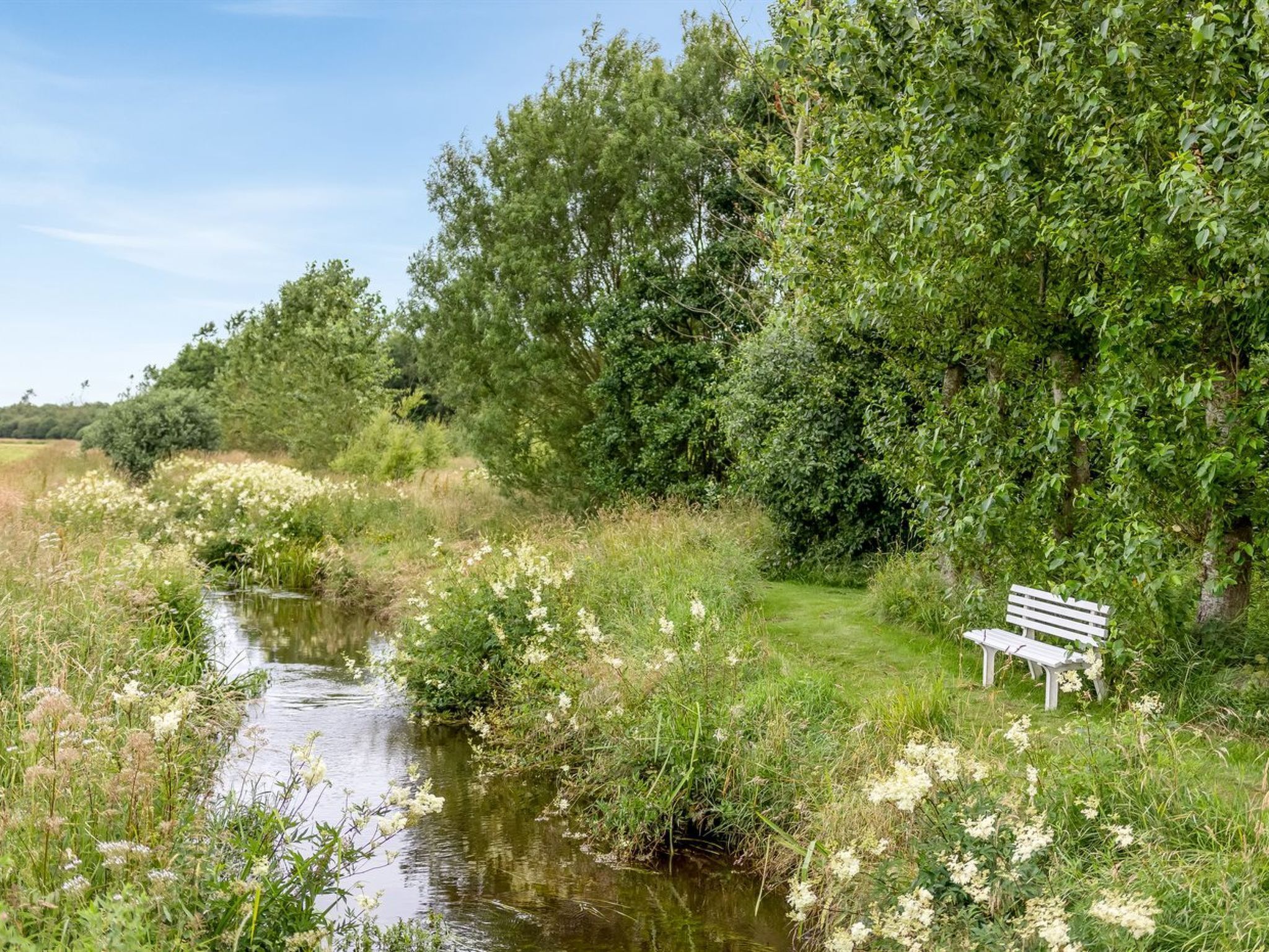 Une scène paisible au bord de la rivière, avec un banc et une végétation luxuriante.
