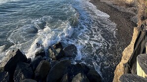 A rocky shoreline with waves crashing onto the beach, a clear blue sky, and a forested hillside in the background.