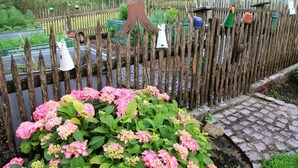 Una recinzione in legno con mangiatoie per uccelli, un giardino con ortensie rosa e una serra sullo sfondo.