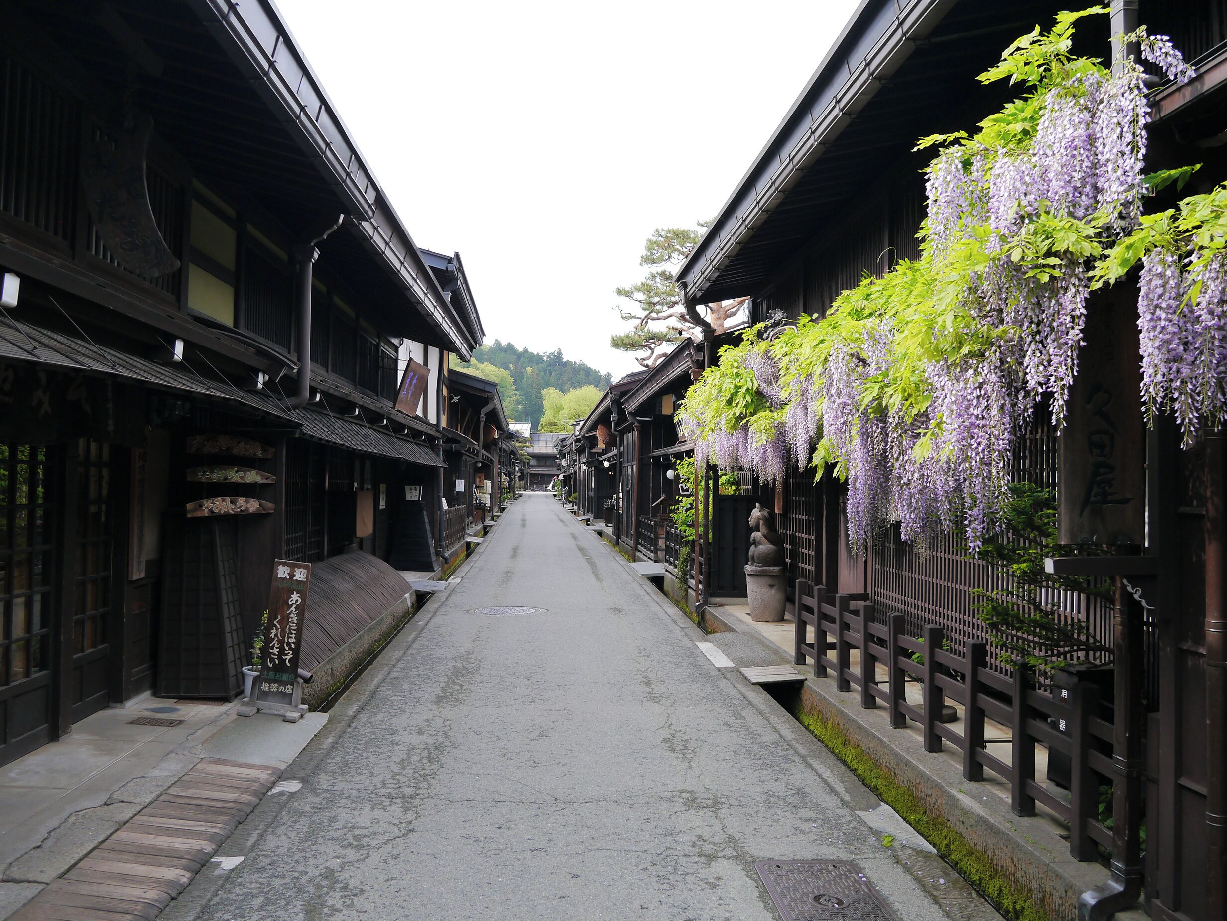 A narrow street lined with traditional wooden buildings, some with signage, and hanging purple flowers.
