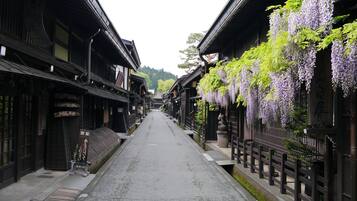 A narrow street lined with traditional wooden buildings, some with signage, and hanging purple flowers.