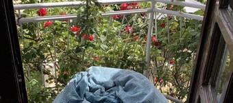 Charming 2-bedroom house with WiFi, AC in soothing Sremska Kamenica