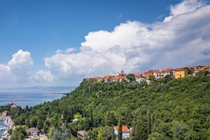 A coastal town with buildings on a hillside, a marina, and a view of the sea. - Beachside House Lara (Omisalj)