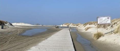 Playa