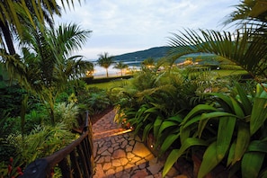 Garden view