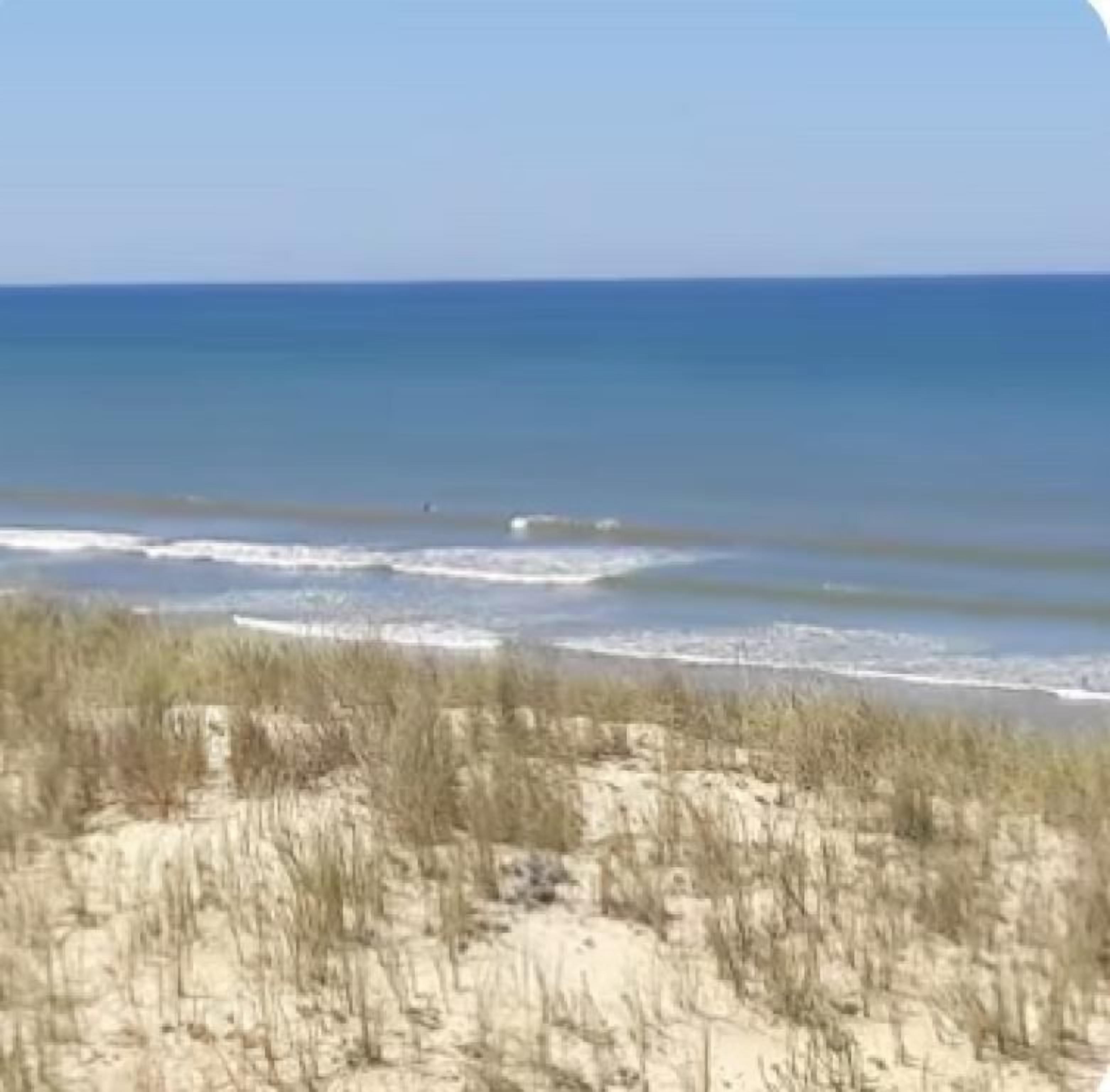 Aan het strand