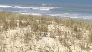 A beach with sand dunes and the ocean. - La parenthèse Arcachonnaise" apartment (Arcachon)