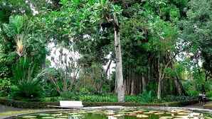 Ein ruhiger Garten mit einem Teich, umgeben von üppiger Vegetation und Bäumen.
