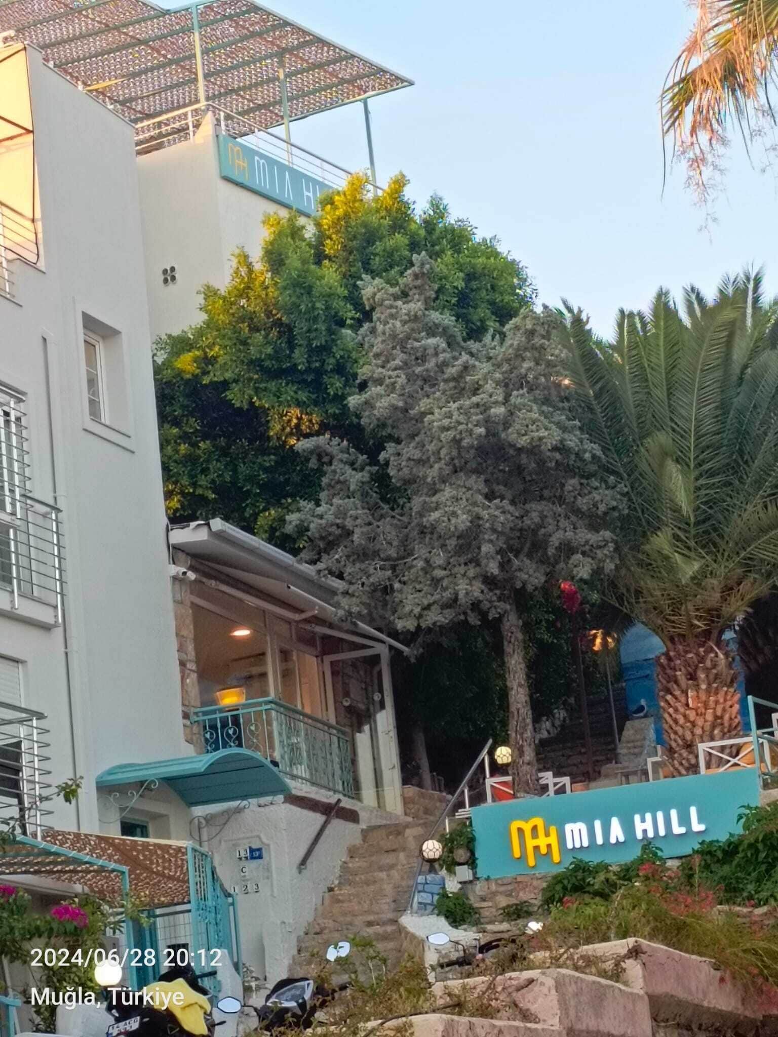 Photo - Mia Hill Suites