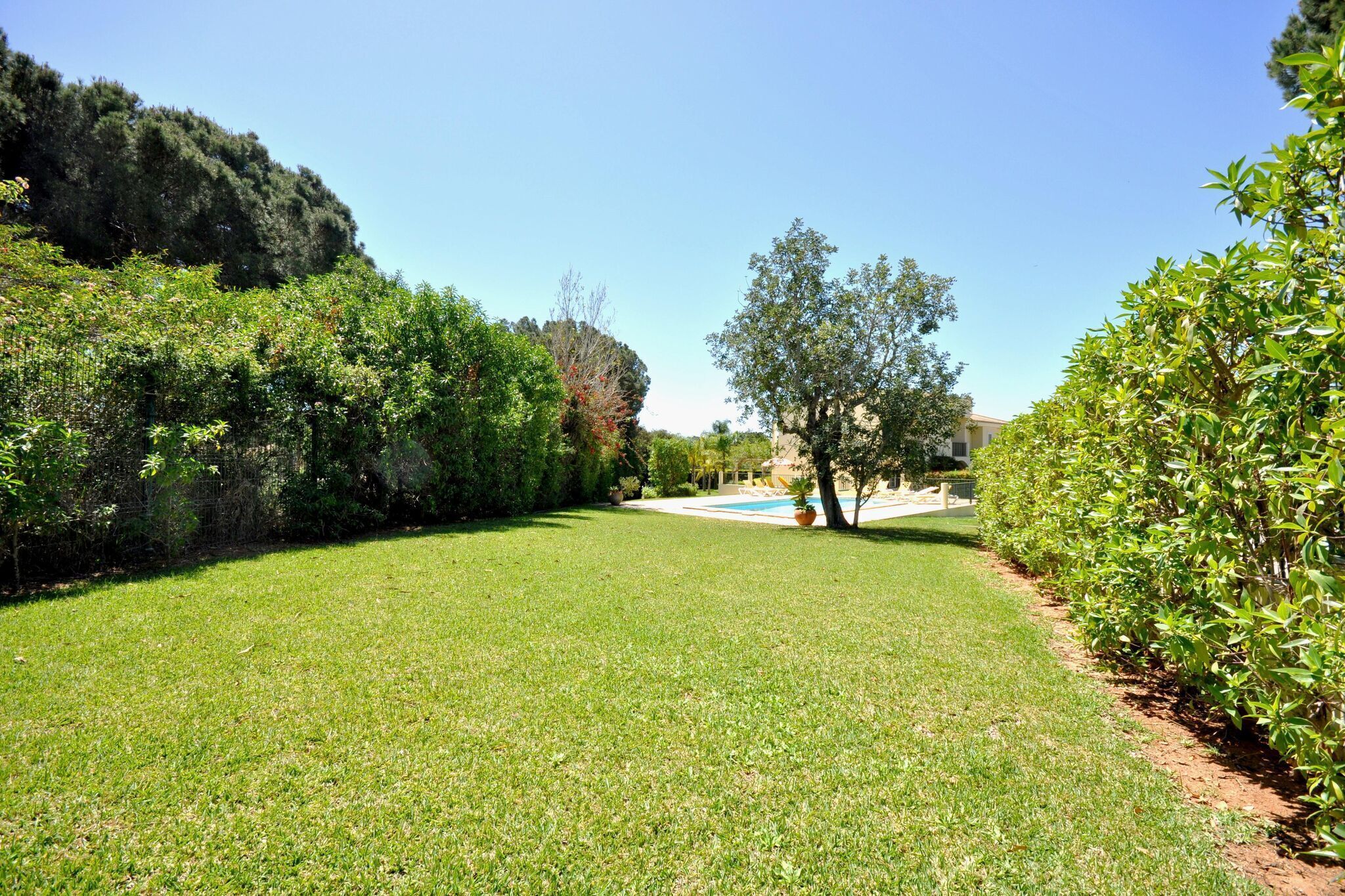 A well-maintained grassy area with a swimming pool, surrounded by dense shrubbery and trees.