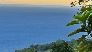 Paesaggio costiero con vista sul mare e vegetazione lussureggiante.