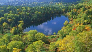 A lake surrounded by dense forest and mountains in the background. - Hotel Pearl City Morioka (Morioka)
