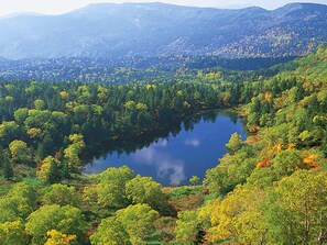 A lake surrounded by dense forest and mountains in the background. - Hotel Pearl City Morioka (Morioka)