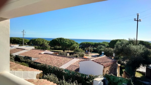 Vista dalla struttura