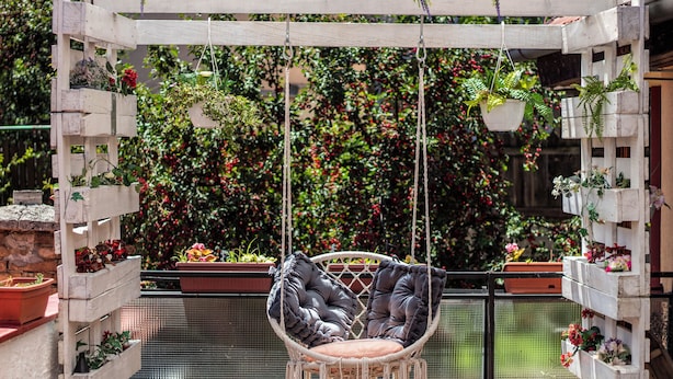 Een hangstoel met kussens, omringd door potplanten en een weelderige groene wand.