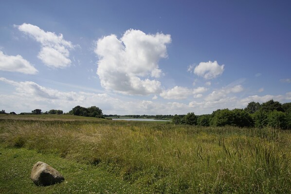 A grassy field with a large rock in the foreground, a body of water in the distance, and a clear blue sky with clouds. - Moderne Ferienwohnung in Ruhiger Lage mit Terrasse - Wreecher Idyll Fewo 01 (Wreechen)
