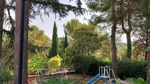 Un jardin avec une aire de jeux, un lampadaire et divers arbres.