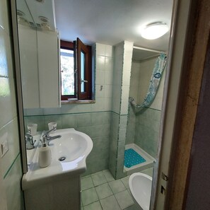 Bathroom features a sink, mirror, and shower area with a shower mat.