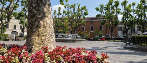 Áreas de la propiedad