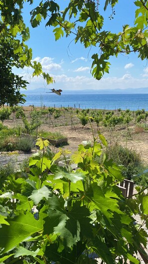 Exterior - İncir Bozcaada (Bozcaada)